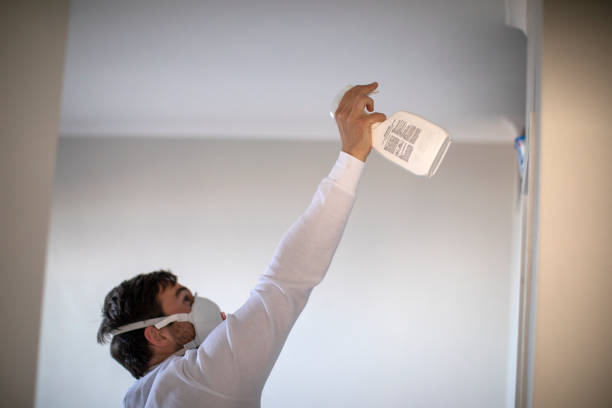 Best Mold Remediation for Specific Building Types in Country Clu, FL